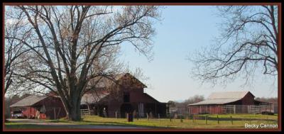 Rabun County GA Red Barn Photo
